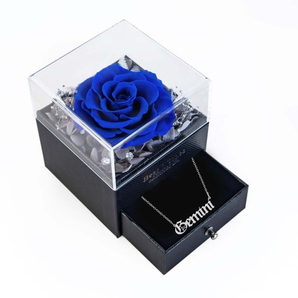 Preserved Rose Flower In a Acrylic Box with Silver Plated Gemini Zodiac Necklace